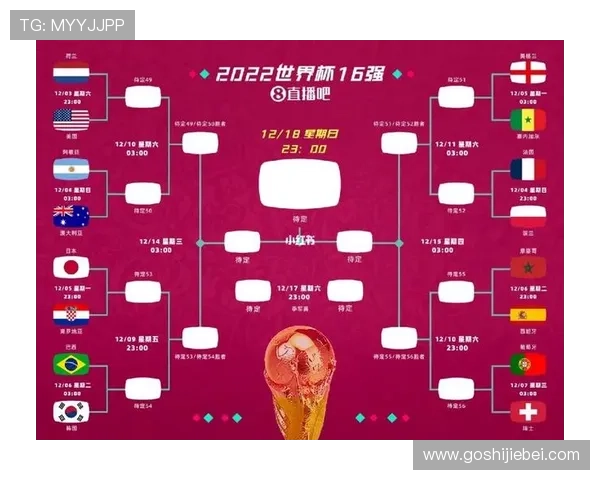 2026年世界杯官网入口访问流程详解，确保用户顺利进入官方平台观看赛事